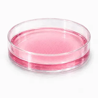 A cell-culture plate