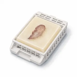 An FFPE tissue block