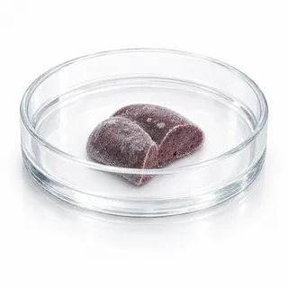 A fresh-frozen tissue sample
