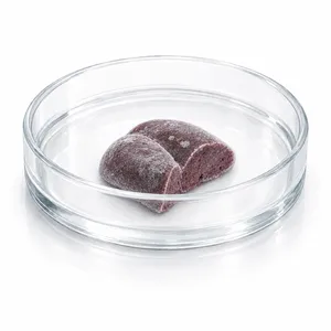 A fresh-frozen tissue sample